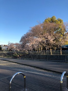 91D29F7C-D250-4FBA-A1D8-A719FEB06E2F.jpeg