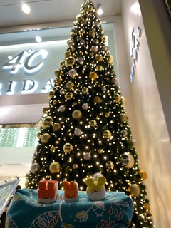 B8DC2C26-3E2E-4881-ADEB-880FB9B997BA.jpeg